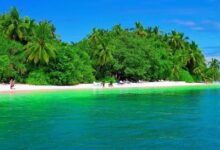 Photo of «Тропические острова для романтического отдыха»