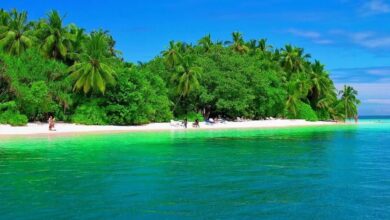 Photo of «Тропические острова для романтического отдыха»
