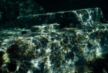 Photo of «Лучшие места для снорклинга»