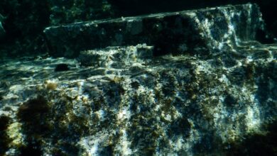 Photo of «Лучшие места для снорклинга»