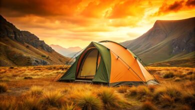 Photo of «Идеи для активного отдыха»