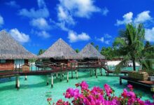 Photo of «Лучшие острова для отдыха»