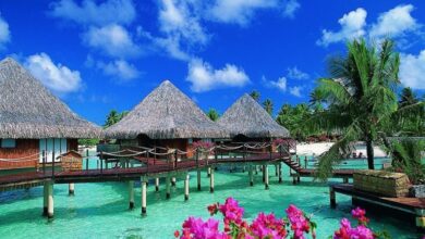 Photo of «Лучшие острова для отдыха»